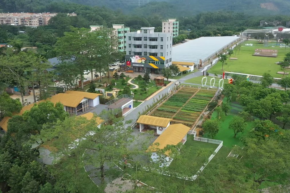中山食出开心农场